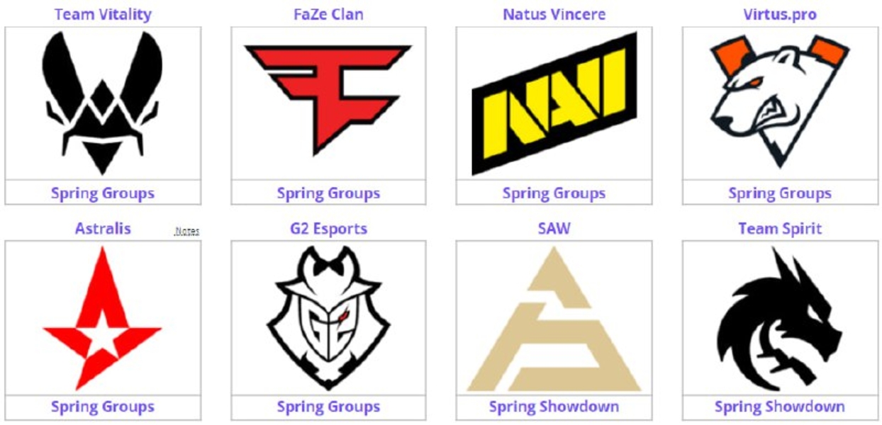 Team VitalityFaZe ClanNatus VincereVirtus.proAstralisG2 EsportsSAWTeam SpiritBLAST Premier: Spring Final 2024Counter-Strike 2