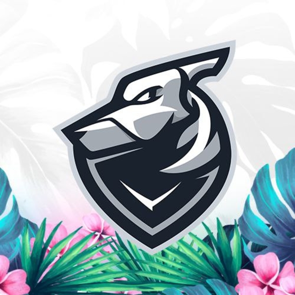 GrayhoundCounter-Strike 2Esports
