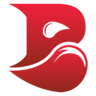 Bleed eSports