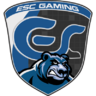 ESC Gaming