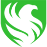 Falcons Esports