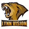 Lynn Vision