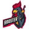 Rooster